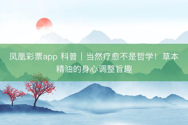 凤凰彩票app 科普｜当然疗愈不是哲学！草本精油的身心调整旨趣
