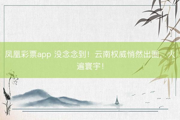 凤凰彩票app 没念念到！云南权威悄然出圈，火遍寰宇！