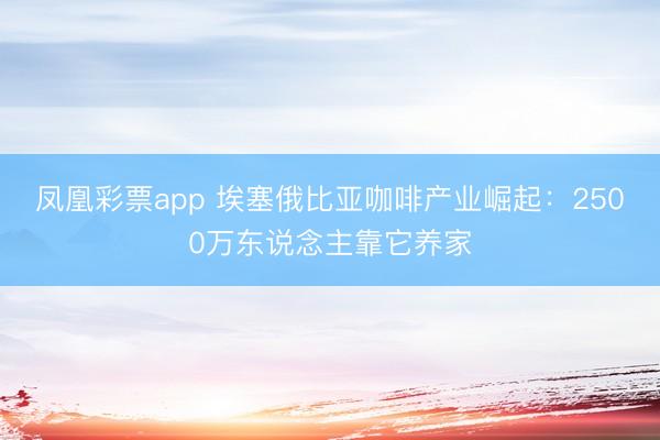 凤凰彩票app 埃塞俄比亚咖啡产业崛起：2500万东说念主靠它养家