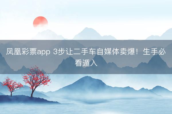 凤凰彩票app 3步让二手车自媒体卖爆！生手必看遁入
