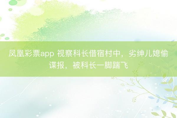 凤凰彩票app 视察科长借宿村中,劣绅儿媳偷谍报,被科长一脚踹飞