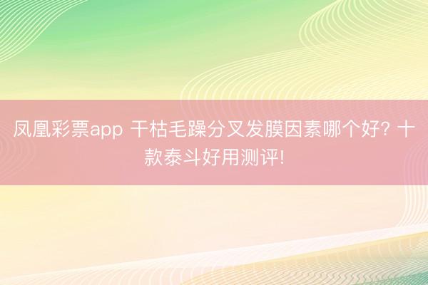凤凰彩票app 干枯毛躁分叉发膜因素哪个好? 十款泰斗好用测评!